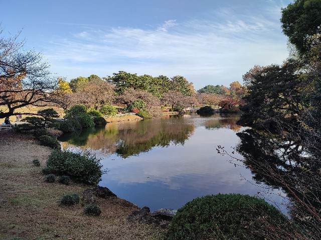 f:id:yuba-tarian:20211213012126j:image