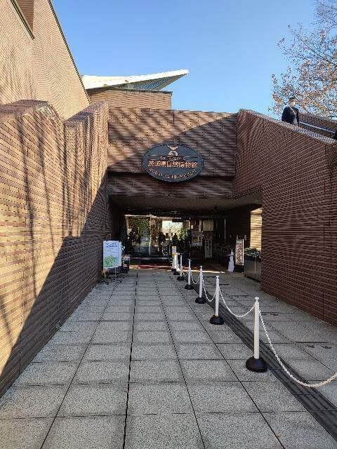 茨城県自然博物館入口