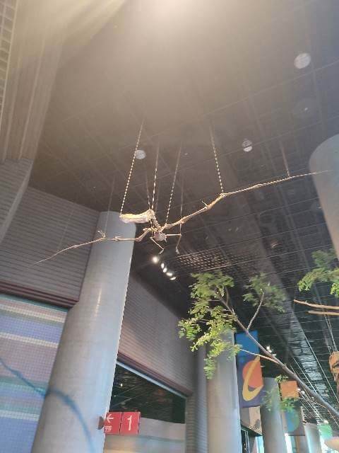 飛行性の爬虫類アンハンエグラ