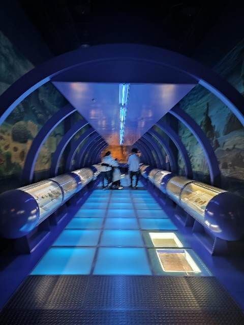 茨城ミュージアム地学ゾーン