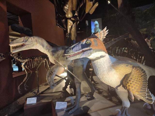 ジュラシックパークに出てきたデイノニクス