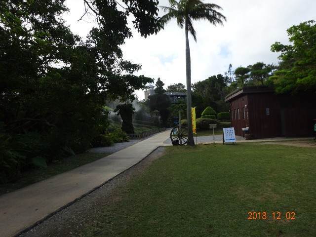 ビオスの丘の芝生