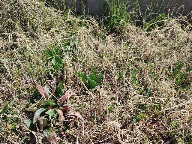 f:id:yuba-tarian:20220310151331j:image