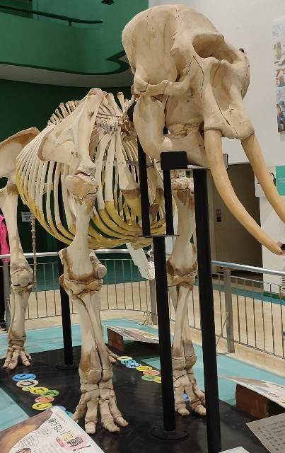 f:id:yuba-tarian:20220511004526j:image