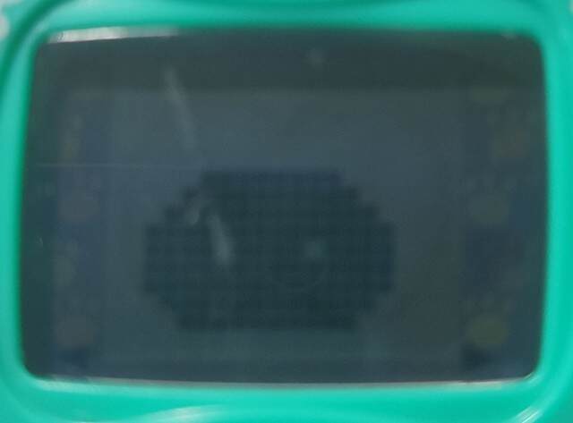 f:id:yuba-tarian:20240616161824j:image