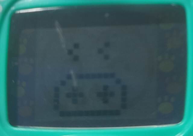 f:id:yuba-tarian:20240616162015j:image