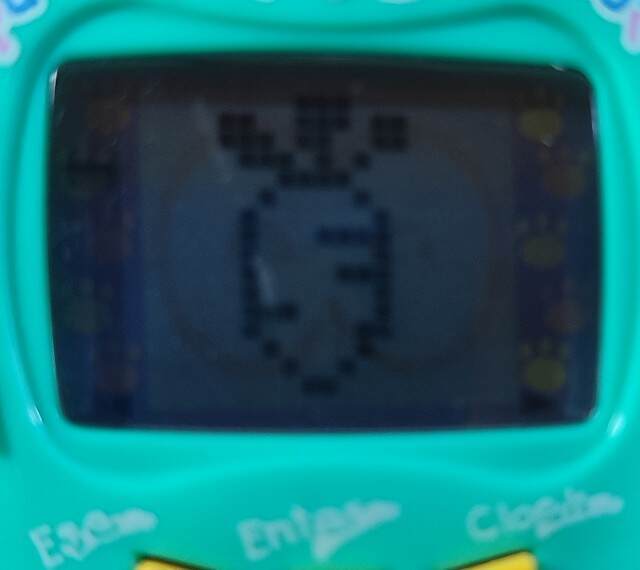 f:id:yuba-tarian:20240616162416j:image