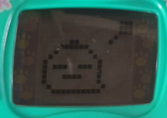 f:id:yuba-tarian:20240623223830j:image