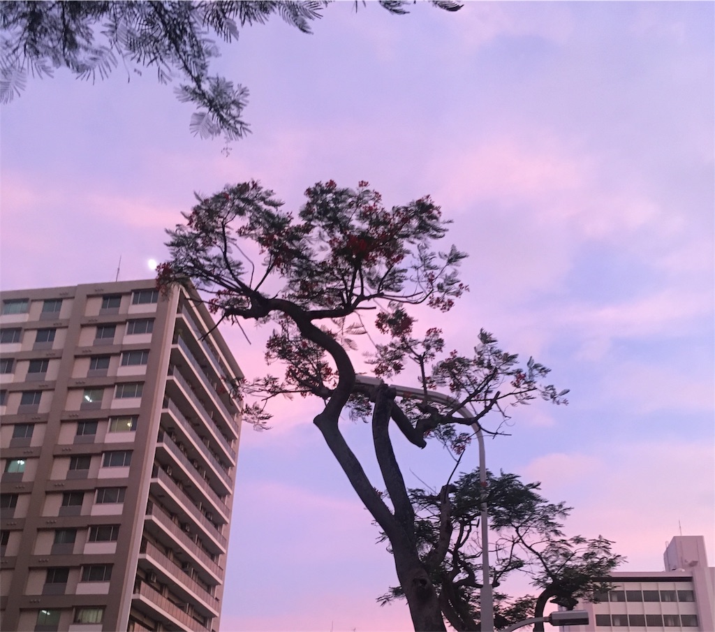 f:id:yuca0610:20180822010841j:image