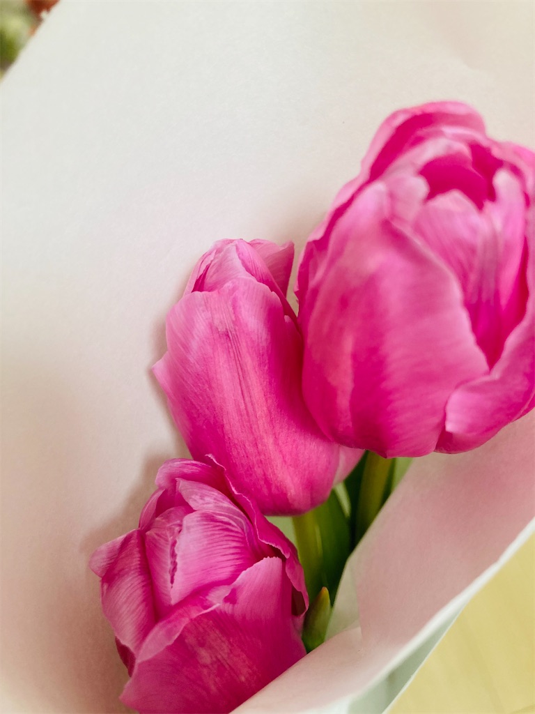 f:id:yuca0610:20210131231212j:image
