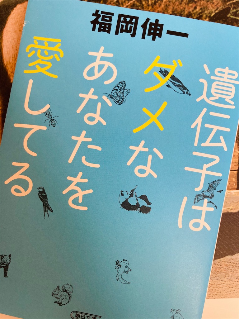 f:id:yuca0610:20210701212729j:image f:id:yuca0610:20210701212729j:image