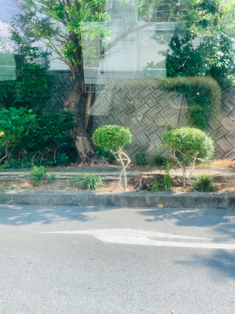 f:id:yuca0610:20241017125319j:image