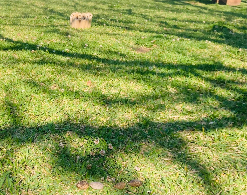 f:id:yuca0610:20250401181724j:image f:id:yuca0610:20250401181724j:image