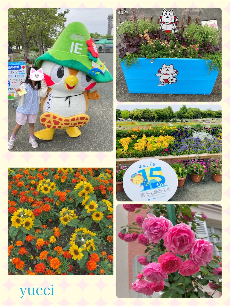 f:id:yucci04:20240601231847j:image f:id:yucci04:20240601231847j:image