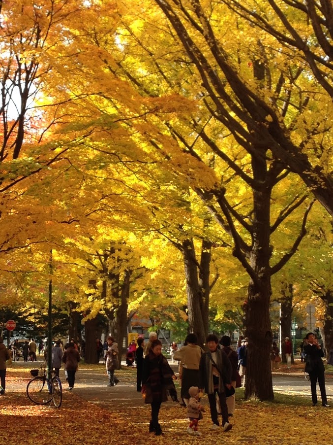 f:id:yuccow:20191024210314j:plain