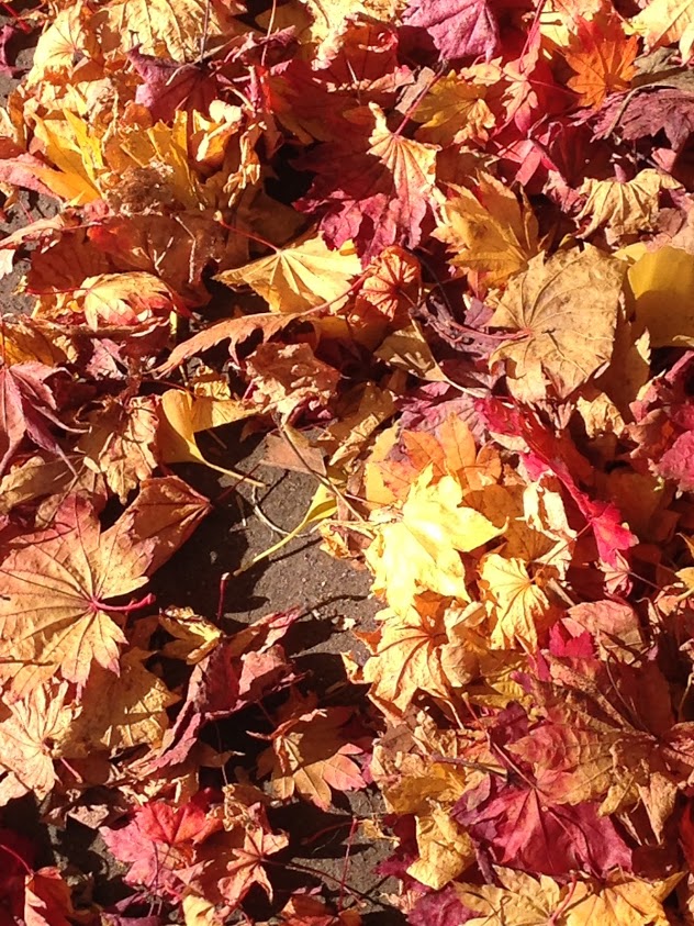 f:id:yuccow:20191024210454j:plain