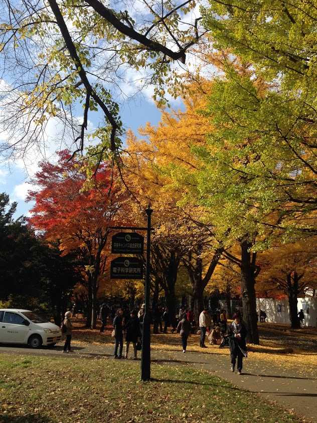 f:id:yuccow:20191024210621j:plain