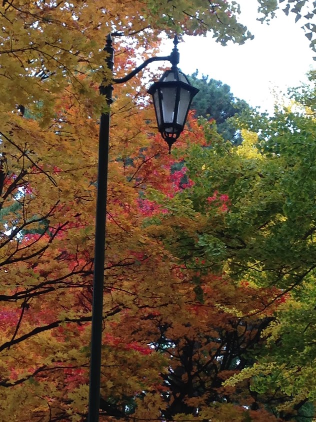 f:id:yuccow:20191024210738j:plain