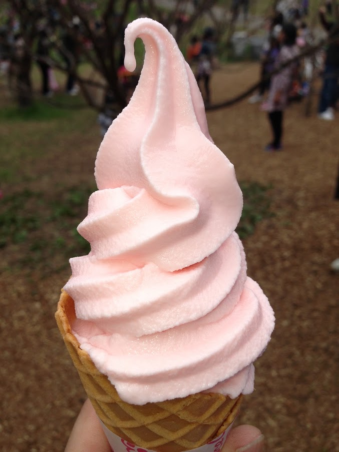 f:id:yuccow:20191118160803j:plain f:id:yuccow:20191118160803j:plain