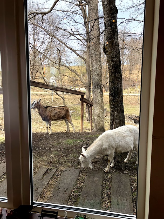 f:id:yuccow:20191225170916j:plain