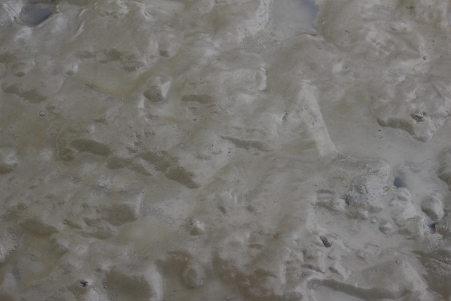 f:id:yuccow:20200309165702j:plain