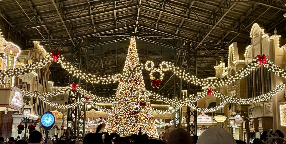 クリスマスディズニーの1日の過ごし方 - ゆちゃの全力余暇ブログ