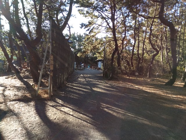 f:id:yuchamama:20190103145645j:image f:id:yuchamama:20190103145645j:image