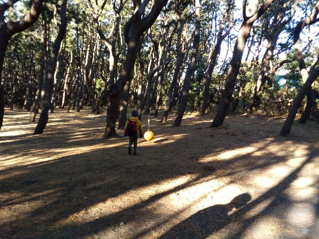 f:id:yuchamama:20190103145925j:image f:id:yuchamama:20190103145925j:image