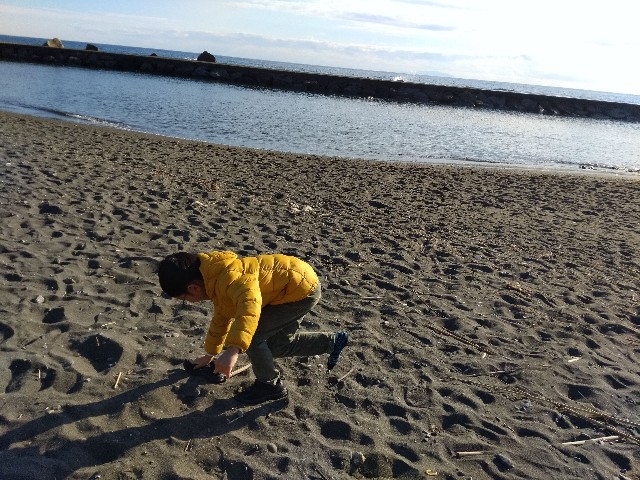 f:id:yuchamama:20190103150132j:image f:id:yuchamama:20190103150132j:image