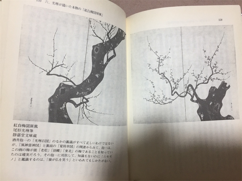 f:id:yuchinchiku:20161018230734j:image