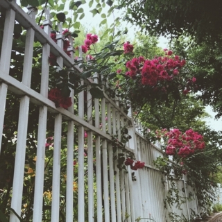 f:id:yucoyam:20180707150722j:plain f:id:yucoyam:20180707150722j:plain