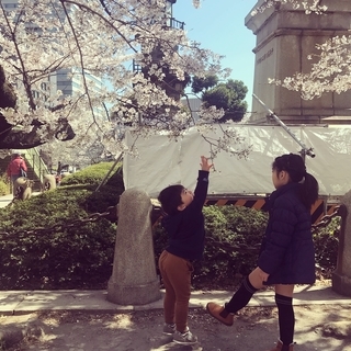 f:id:yucoyam:20190423124746j:plain f:id:yucoyam:20190423124746j:plain