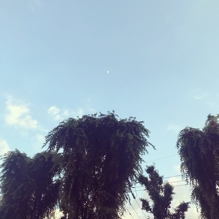 f:id:yucoyam:20190804125626j:plain f:id:yucoyam:20190804125626j:plain