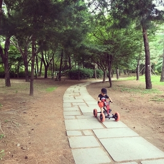 f:id:yucoyam:20190819105350j:plain f:id:yucoyam:20190819105350j:plain