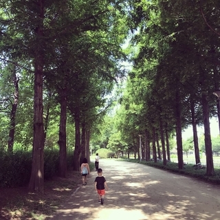 f:id:yucoyam:20190819105405j:plain f:id:yucoyam:20190819105405j:plain