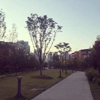 f:id:yucoyam:20190903110951j:plain f:id:yucoyam:20190903110951j:plain
