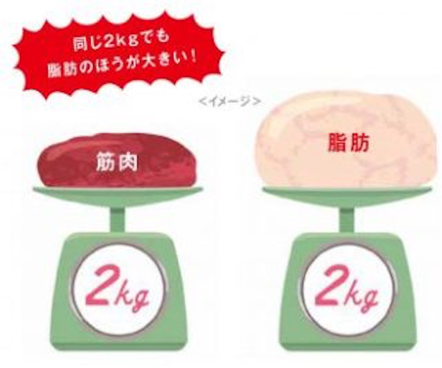 f:id:yudai_u:20190608190315j:image
