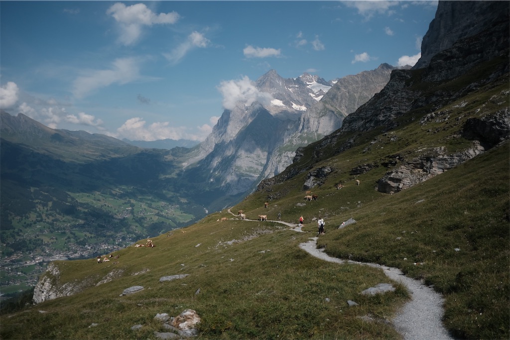 f:id:yudaidolce:20231231104647j:image f:id:yudaidolce:20231231104647j:image