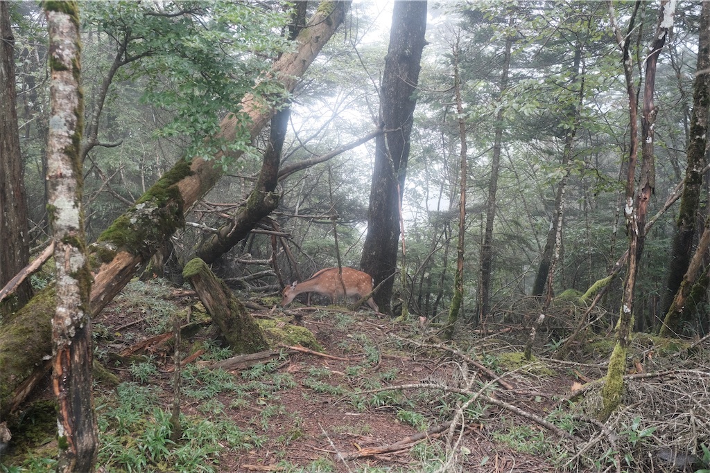 f:id:yudaidolce:20231231104848j:image f:id:yudaidolce:20231231104848j:image