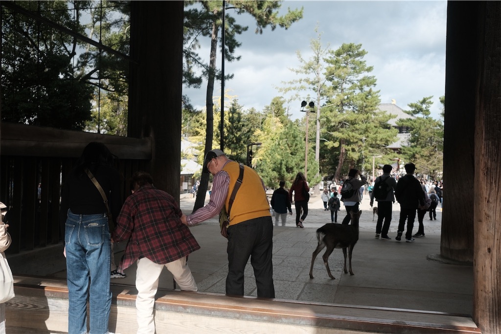 f:id:yudaidolce:20231231205248j:image f:id:yudaidolce:20231231205248j:image