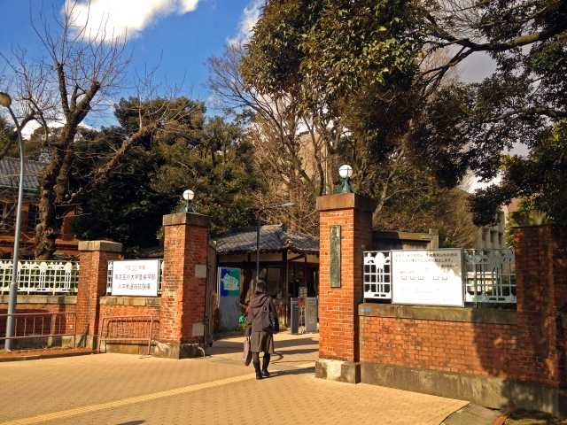 f:id:yudaihatanaka:20190306185808j:plain