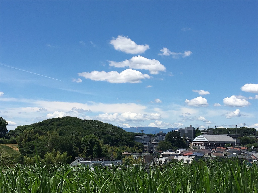 f:id:yudaism:20180613081055j:image f:id:yudaism:20180613081055j:image