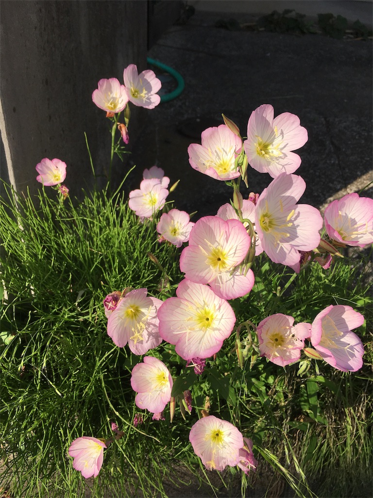 f:id:yudaism:20180613081116j:image f:id:yudaism:20180613081116j:image