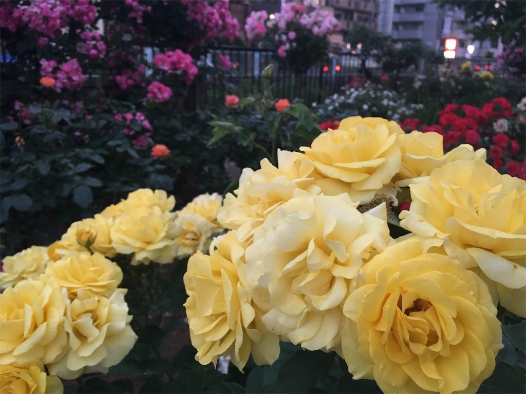 f:id:yudaism:20180613081255j:image f:id:yudaism:20180613081255j:image