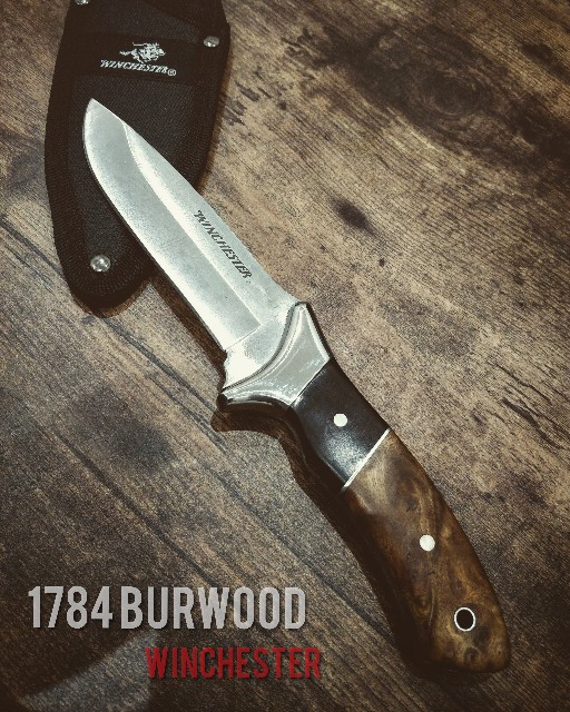 f:id:yudaivanzandt:20201122185125j:image f:id:yudaivanzandt:20201122185125j:image