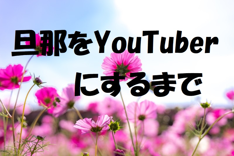 f:id:yudukana:20210208212952j:plain