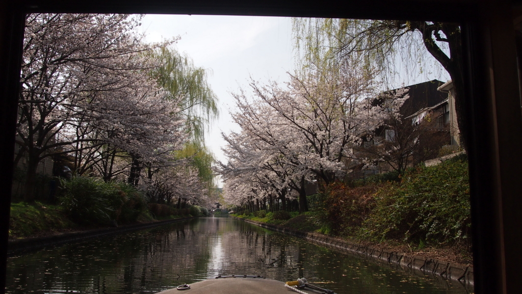 f:id:yue82:20180410015746j:plain:w400