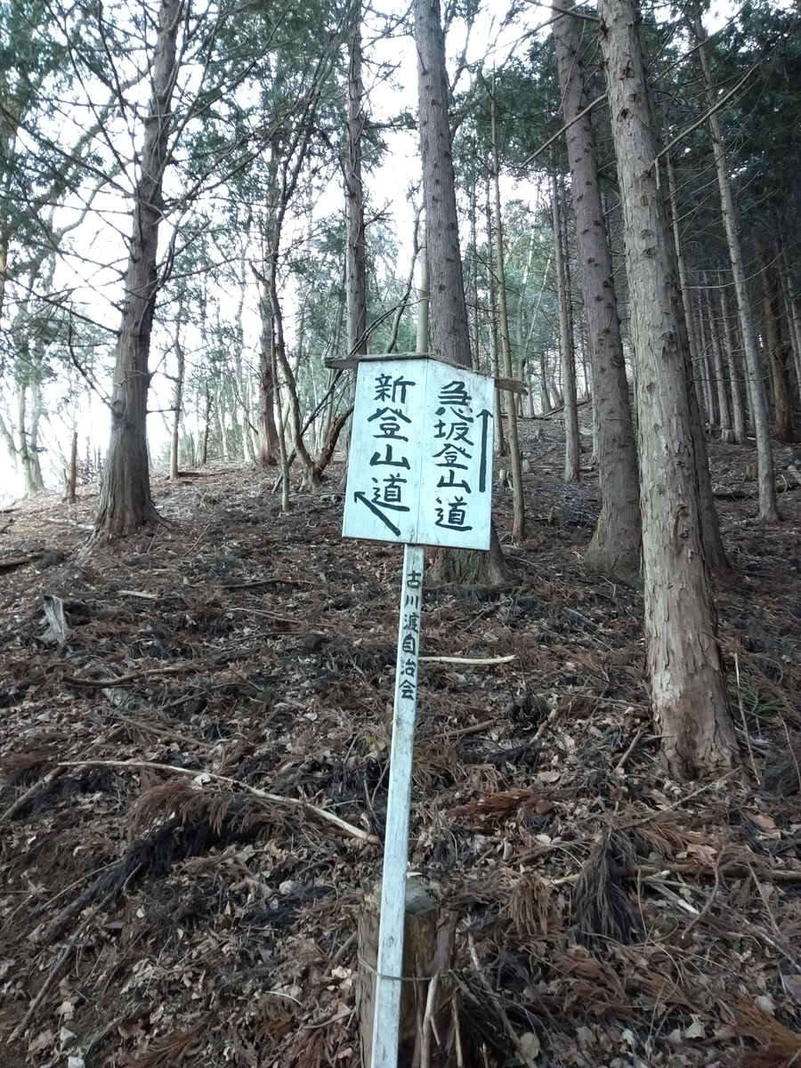 f:id:yueguang:20200107202207j:plain f:id:yueguang:20200107202207j:plain