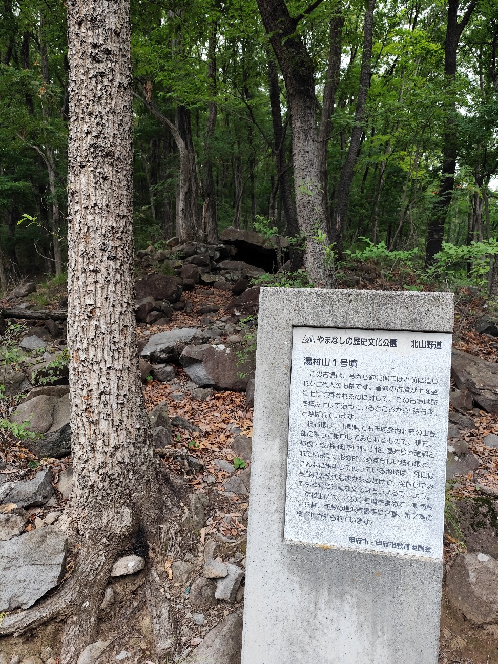 f:id:yueguang:20260702164847j:image