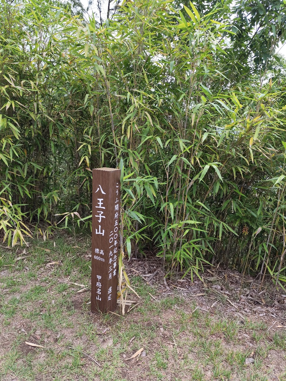 f:id:yueguang:20260702171113j:image